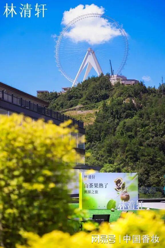 融媒体发布2025中国美妆品牌营销年度报告pg电子模拟器免费试玩万字长文！中国香妆(图27)