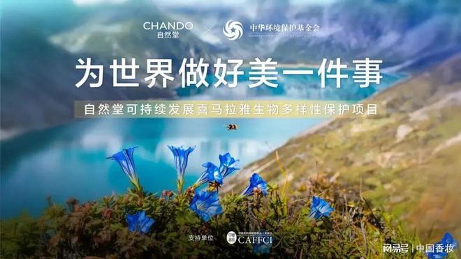 融媒体发布2025中国美妆品牌营销年度报告pg电子模拟器免费试玩万字长文！中国香妆(图5)