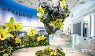 融媒体发布2025中国美妆品牌营销年度报告pg电子模拟器免费试玩万字长文！中国香妆(图10)